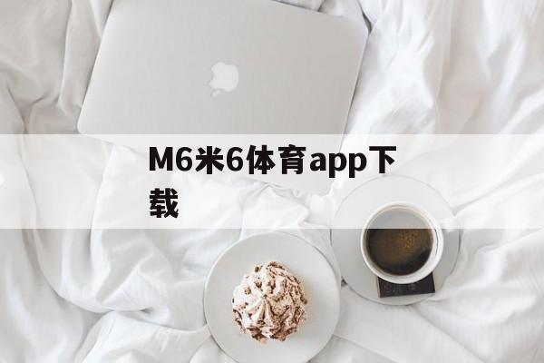 M6米6体育app下载